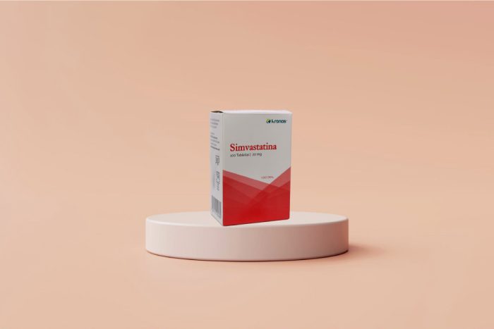  Simvastatina Nova Química リーフレット